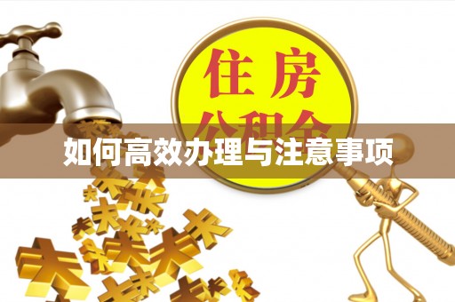 宾川如何高效办理与注意事项