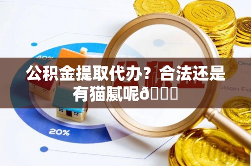 宾川公积金提取代办？合法还是有猫腻呢😏