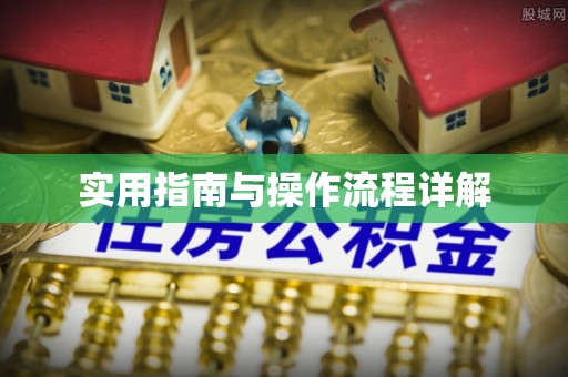 宾川实用指南与操作流程详解