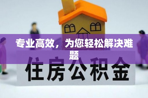 宾川专业高效，为您轻松解决难题